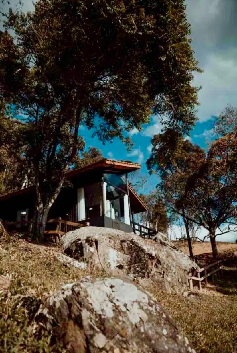 Cabana Sassafras Com Hidromassagem 阿尔弗雷多瓦格内尔 外观 照片