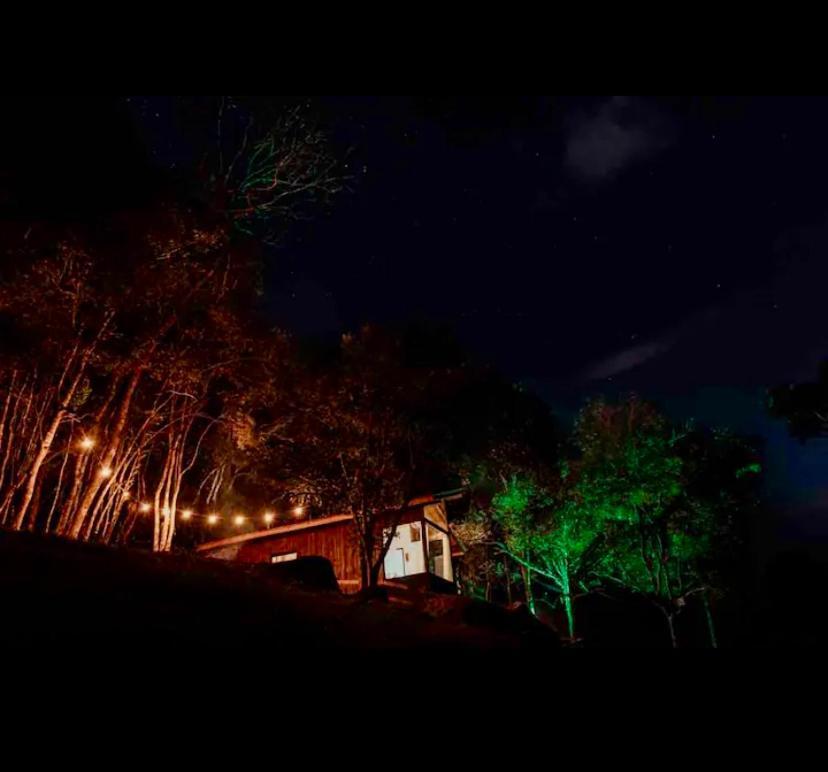 Cabana Sassafras Com Hidromassagem 阿尔弗雷多瓦格内尔 外观 照片